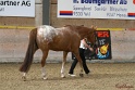 24-ApHC HIH_083